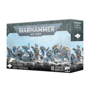 SPACE WOLVES: CHASSEURS GRIS