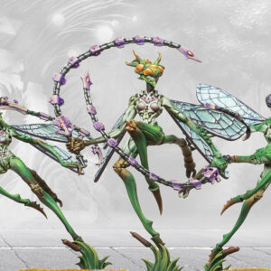 WEAVER COURTS - SCAILE DANCERS