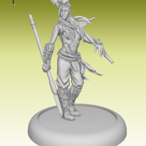 BUSHIDO - AMARUQ (FR + ENG)