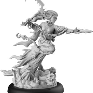 BUSHIDO - LE PÈLERIN SOMBRE (FR + ENG)