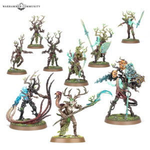 SYLVANETH: Régiment de Renom : La Branchetorve