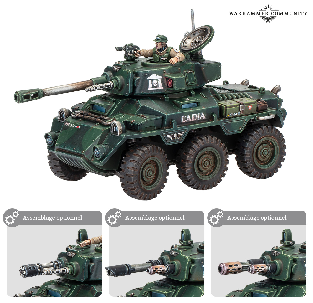 ASTRA MILITARUM - VBC Hippogriff