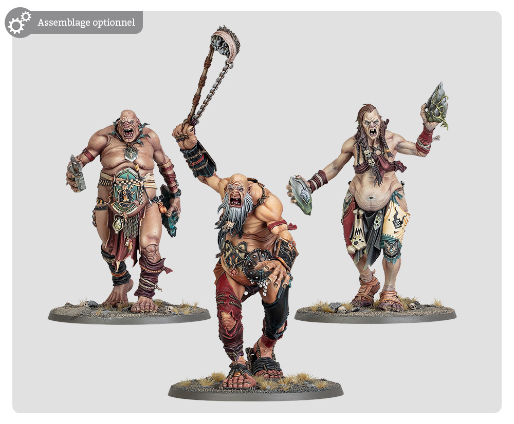 Age of Sigmar – Piétine-boss – Image 2